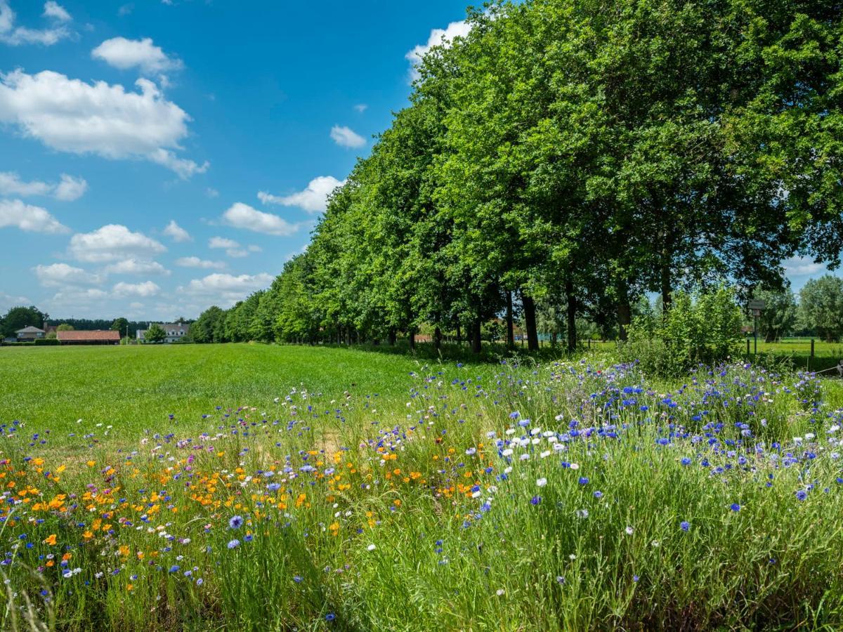 Apartmán De Dag Des Heeren Merendree Exteriér fotografie